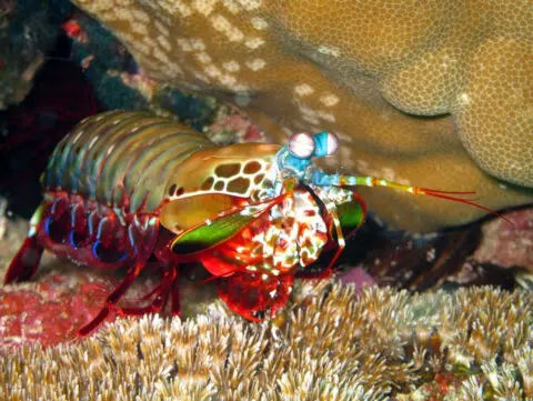 gallery-img-3.jpg