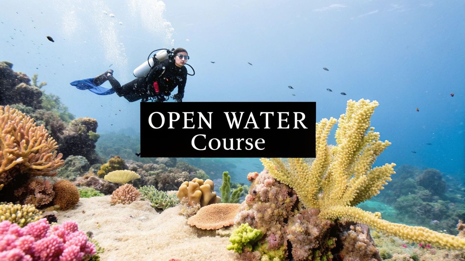 Your Guide to the PADI Open Water Course in Panglao - Valm Divers Bohol